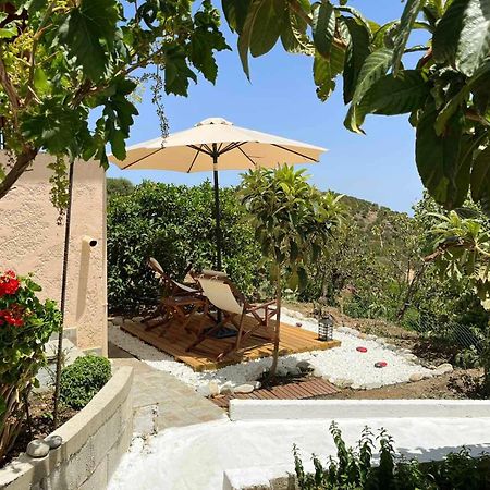 The Garden House, Sitia Apartment Bagian luar foto