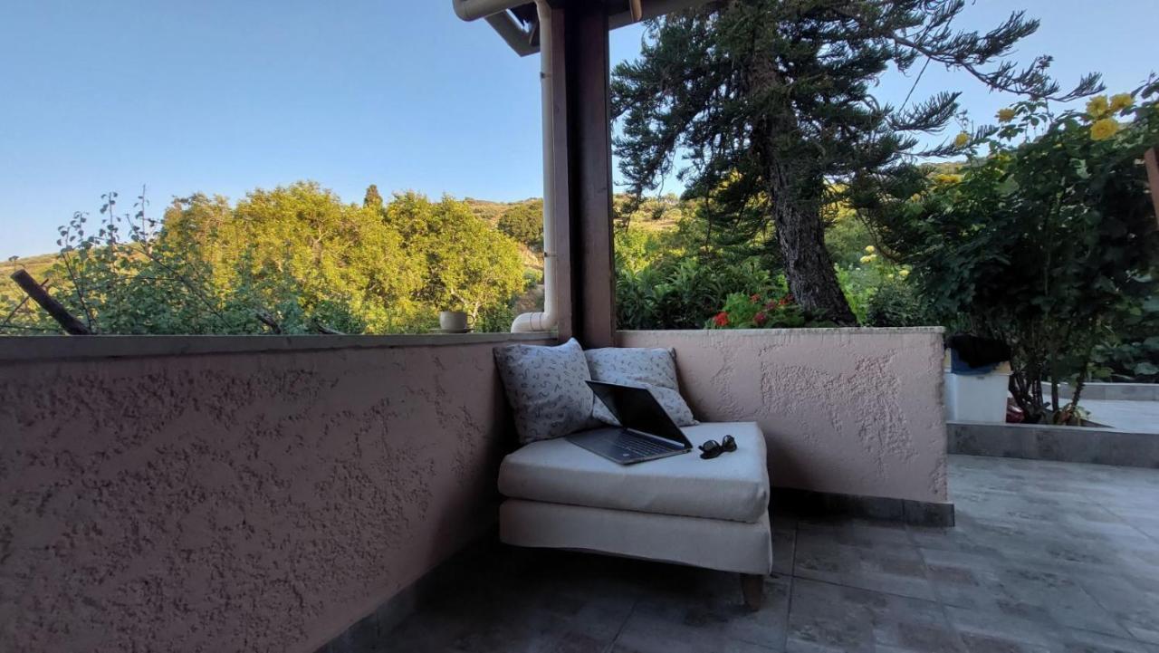 The Garden House, Sitia Apartment Bagian luar foto