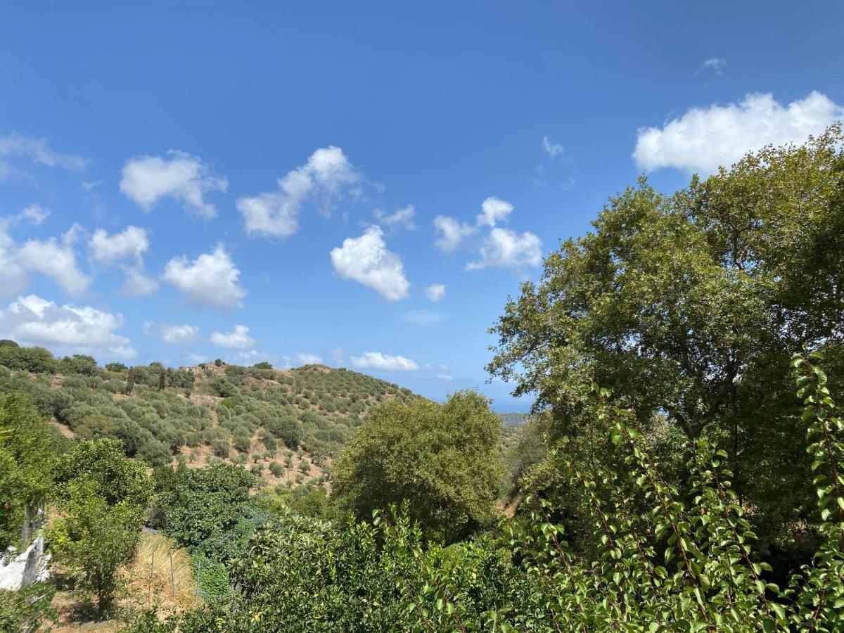 The Garden House, Sitia Apartment Bagian luar foto